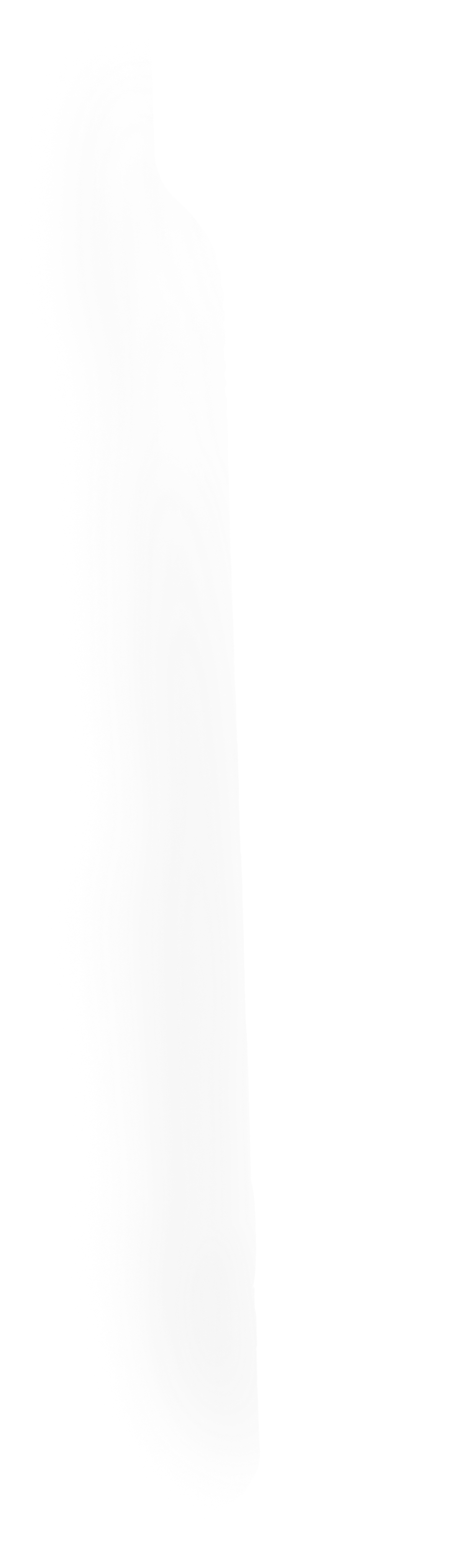 botella